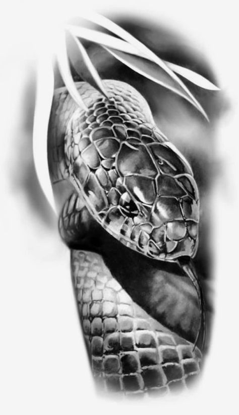 Snake Tattoo Design Draw, Snake Tattoo Reference, Realistic Animal Tattoo Design, Realistic Snake Tattoo, Snake Tattoo Sketch, Tattoo Design Snake, Snake Tattoo Ideas, Jungle Tattoo, Big Cat Tattoo