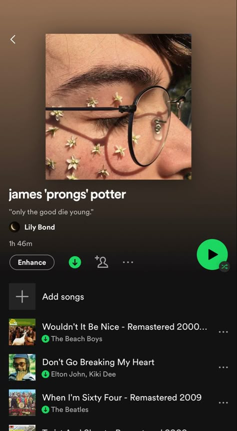 Marauders Playlist Cover, James Potter Wallpaper Aesthetic, James Potter Marauders Era, Marauders Playlist, Harry Potter Playlist, Playlists Aesthetic, Band Jokes, Therapy Playlist, Aesthetic Names