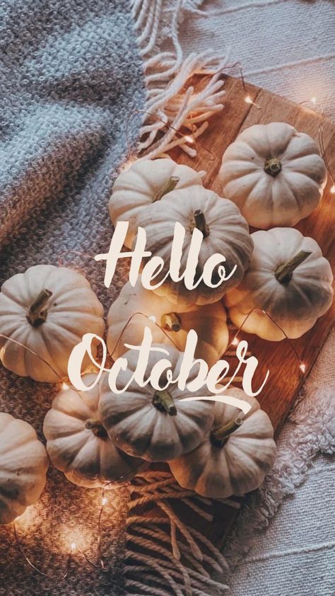 Hello October Images, October Images, Fall Backgrounds Iphone, Autumn Phone Wallpaper, October Wallpaper, Cute Fall Wallpaper, Hello October, Iphone Wallpaper Fall, Fall Background