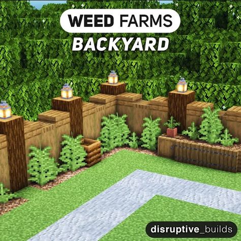 Cactus Farm Minecraft, Minecraft Cactus, Minecraft House Decorations, Minecraft Creator, Farm Minecraft, Cactus Farm, Blossom House, Minecraft House Plans, Bangunan Minecraft