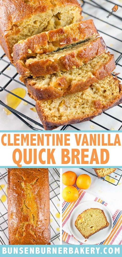 Baking With Clementines, Recipes For Clementines, Clementine Recipes Healthy, Summer Quick Breads, Recipes With Clementines, Clementine Dessert Recipes, What To Do With Old Clementines, Clementines Recipes, Clementine Dessert