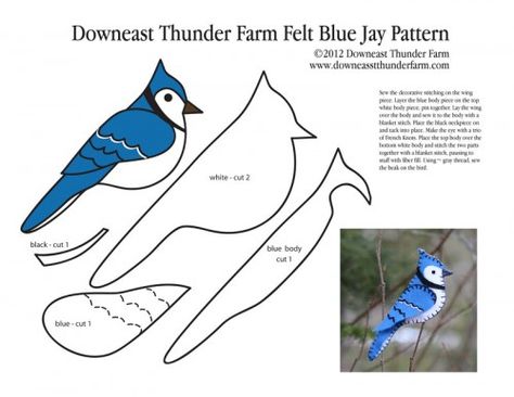 Free Simple Felt Ornament Patterns | Bold Blue Jay Felt Ornament | Downeast Thunder Farm Felt Birds Ornaments, Bird Craft, Felt Craft Projects, Felt Ornaments Patterns, Felt Ornament, Bird Crafts, Felt Birds, Felt Patterns, Bird Ornaments