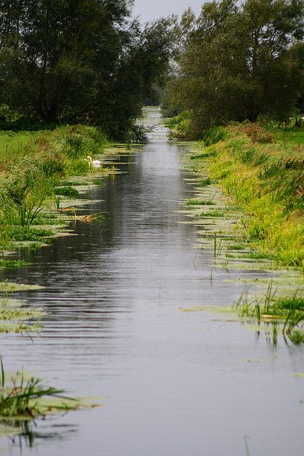 The Lakes England, Countryside Of England, Lakes District England, Surrey Hills England, Bourton On The Water England, Somerset Levels, Two Swans, Uk Countryside, Town And Country Magazine