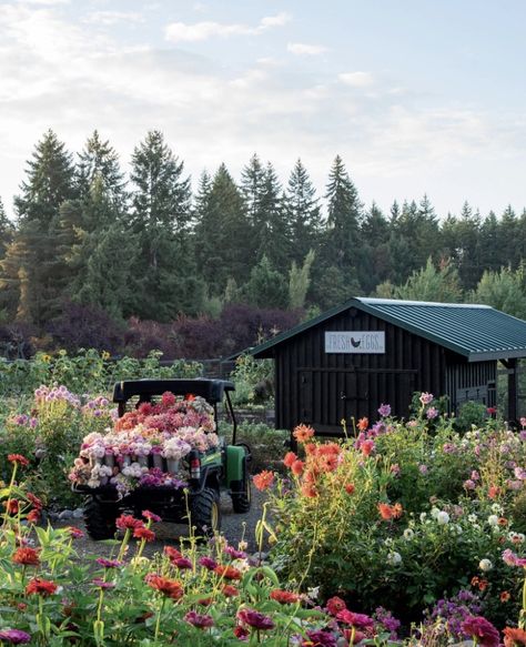 Farmluxe Flower Farm Greenhouse, Floret Flower Farm, Pick Your Own Flowers Farms, Backyard Flower Farm, Farmstead Aesthetic, Flower Farm Aesthetic, Flower Farm Ideas, Flower Farm Layout, Fall Landscape Ideas