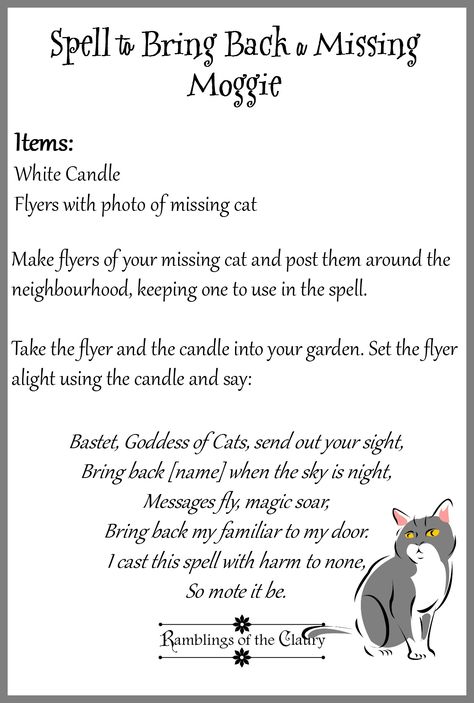 Cat Spells Witches, Spell To Find A Lost Pet, Spell To Bring Back Lost Pet, Lost Pet Spell Cats, Lost Cat Spell, Spell To Bring A Lost Pet Home, Spells To Find A Lost Pet, Spell To Find Lost Cat, Cat Protection Spell