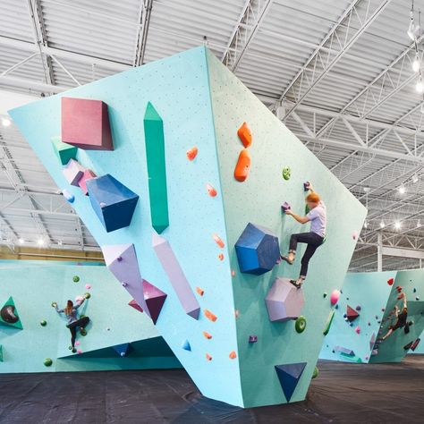 Climbing Wall Design, Climbing Wall Kids, Home Climbing Wall, Bouldering Gym, Indoor Climbing Wall, Rock Climbing Gym, Bouldering Wall, Turquoise Walls, Climbing Holds