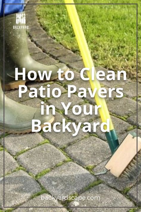 Patios are a great place for outdoor entertaining. But they can fill up with dirt, leaves and other debris that cover the paver stones or bricks. Here's what you need to know about how to clean patio pavers in your backyard so it looks like new again! Cleaning Pavers, Landscaping Around Patio, Office Oasis, Outdoor Patio Pavers, How To Clean Stone, Paver Steps, How To Clean Brick, Brick Paver Patio, Clay Pavers