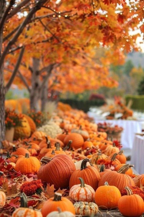 Pumpkins Aesthetic, Mac Background, Autumn Pics, Outdoor Fall Decor Ideas, Outdoor Decor Ideas, Fall Scenery, Halloween 6, Hello October, Autumn Magic