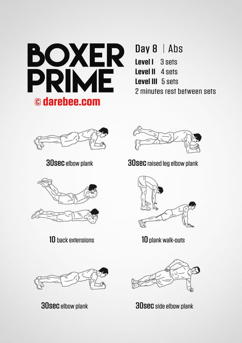 Boxer Prime, Best Abs Workout, Boxer Workout, Boxing Workout Routine, Home Boxing Workout, Boxer Training, Abs Workout At Home, Core Workout Videos, Marathon Training Schedule