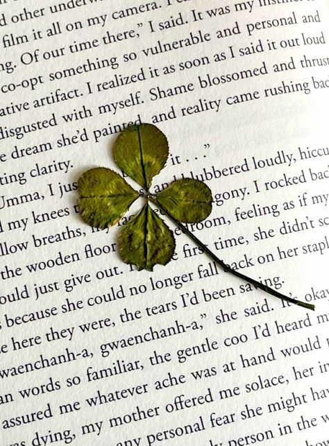 Good Luck Aesthetic, Luck Aesthetic, Hellenic Polytheism, Lucky Leaf, 4 Leaves, Aesthetic Pics, Future Life, Leaf Clover, Clover Leaf