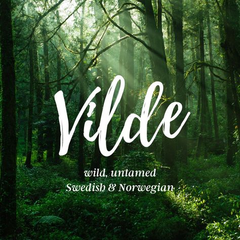 A dark green forest with the name Vilde written in white script over the image. Beneath it are the words "wild, untamed. Swedish and Norwegian." Pretty Norwegian Words, Fantasy Land Names, Norwegian Names, Fantasy Academia, Swedish Names, Norwegian Language, Mystical Names, Norse Words, Scandinavian History