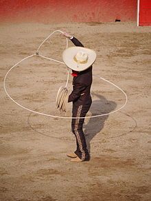 Trick Roping, Fur Trapper, American West, Rodeo, Oklahoma, Cowboy Hats, Cowboy, Horses, Quick Saves