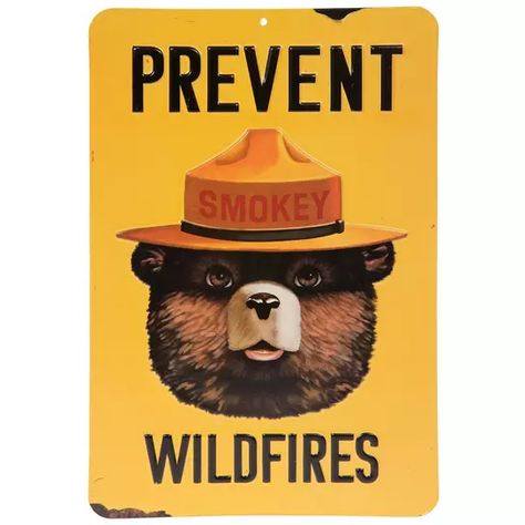 Prevent Wildfires Smokey Metal Sign | Hobby Lobby | 2284875 Smokey The Bear Nursery, Set Your Heart Ablaze, Smokey The Bear, Smokey Bear, Big Boy Bedrooms, Smokey The Bears, Wild Fire, Bear Nursery, Wall Decor Quotes