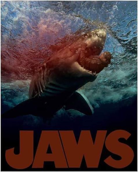 Jaws Poster, Jaws Film, Here Lies, Jaws Movie, Shark Pictures, Shark Jaws, Big Shark, Mary Lee, Shark Art