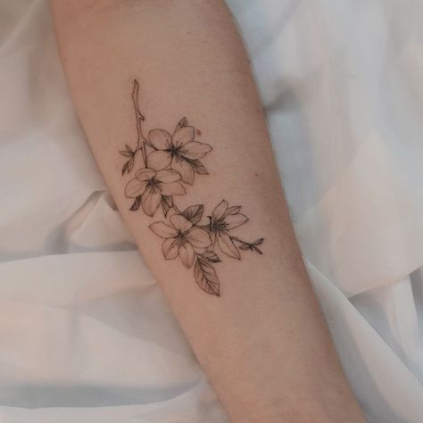 Apple Tree Tattoo, Apple Blossom Tattoo, Apple Blossom Tattoos, Dogwood Tattoo, Dogwood Flower Tattoos, Grace Tattoo, Apple Tattoo, Cherry Tattoos, Flower Wrist Tattoos