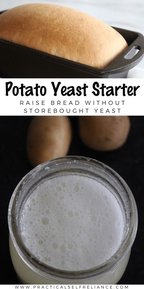 Potato Yeast Starter for Baking Bread Potato Yeast, Filet Mignon Chorizo, Bread Without Yeast, Friendship Bread Starter, Yeast Packet, Making Sourdough Bread, Yeast Starter, Friendship Bread, Bread Starter