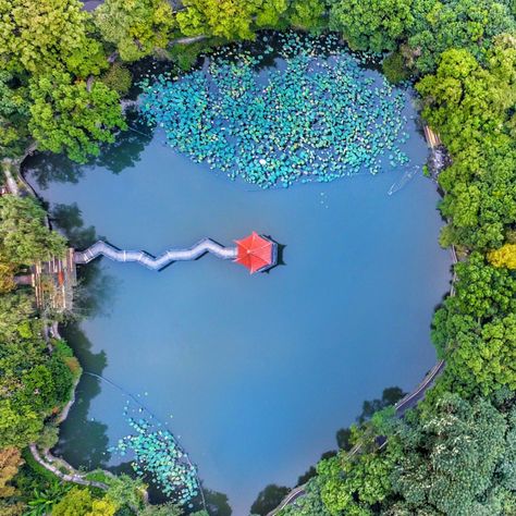 Pond Birds Eye View, Birds Eye View Landscape, Lake Birds Eye View, Birds Eye View Photography, Bungee Jumping, Water Resources, Nature Birds, French Garden, Top View