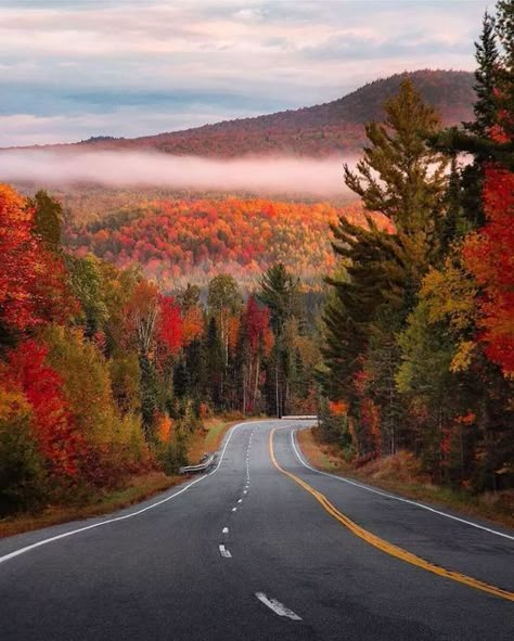 Vermont Fall, New England Fall, Country Landscaping, Autumn Scenes, Autumn Scenery, Fall Is Here, I Love Fall, Autumn Beauty, Scenic Routes