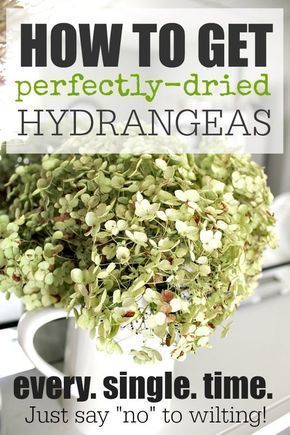 Dried Hydrangeas Decor Ideas, Dried Hydrangeas Centerpiece, Dry Hydrangea Arrangements, Dry Hydrangeas, Preserved Hydrangea, Limelight Hydrangea, Growing Peonies, Garden Pallet, Hydrangea Centerpiece