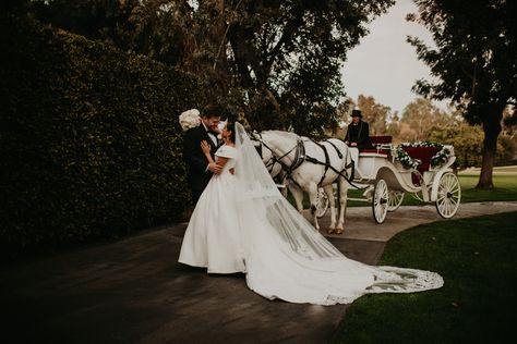 Horse Carriage Wedding Photos, Wedding Horse And Carriage, Horse And Carriage Wedding, Carriage Wedding, Dahlias Wedding, Horse Drawn Carriage, Engagement Decor, Wedding Carriage, Horse Wedding