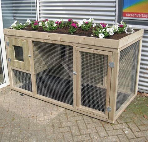 Diy Bunny Cage, Diy Rabbit Cage, Diy Rabbit Hutch, Outdoor Rabbit, Outdoor Rabbit Hutch, Rabbit Enclosure, Guinea Pig Hutch, Bunny Hutch, Guinea Pig House