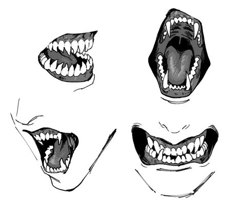 Mouth Drawing, Sharp Teeth, Drawing Expressions, Different Angles, Anatomy Drawing, Anatomy Reference, Shark Teeth, Anatomy Art, Drawing Tutorials