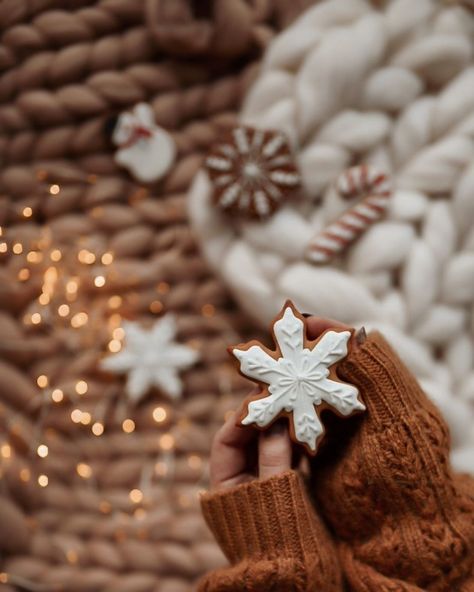 Decorated Gingerbread Cookies, Gingerbread Cookies Decorated, Copper Christmas, Pumpkin Pictures, Holiday Icon, Cute Christmas Wallpaper, Christmas Decorations Bedroom, Christmas Inspo, Christmas Photoshoot