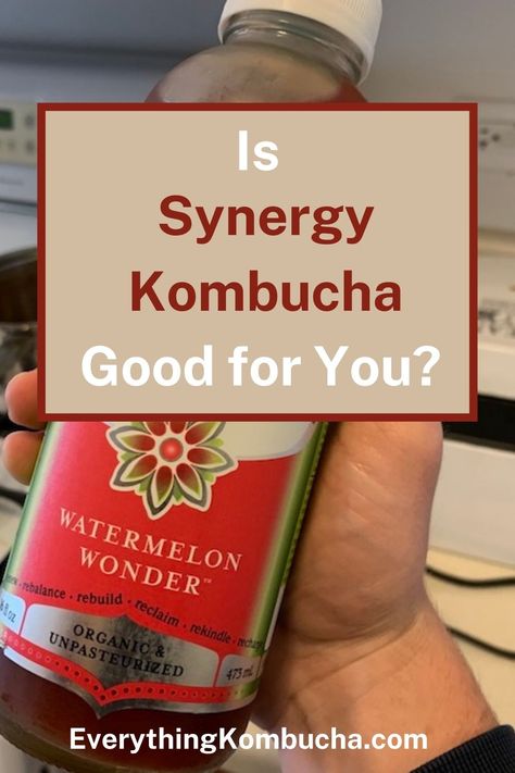 GT'S Synergy Kombucha is one of the most popular brands of kombucha you'll find at the store. Most people know that in general, kombucha is pretty healthy. But since ingredients and recipes can vary so much from brand to brand, you may wonder whether Synergy Kombucha is a good kombucha to be drinking. To find out, tap on the pin to read my article! #kombucha #synergy #GTDave #probiotic #review Synergy Kombucha, Kombucha Health Benefits, Best Kombucha, Kombucha Drink, Kombucha Brands, Kombucha Benefits, Watermelon Benefits, Kombucha Recipe, Inflammatory Recipes