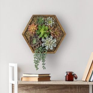 Floating Decorations, Plant Decoration, Wood Planter Box, Hanging Succulents, Plant Box, Succulent Wall, Hexagon Design, Artificial Succulents, Wall Garden