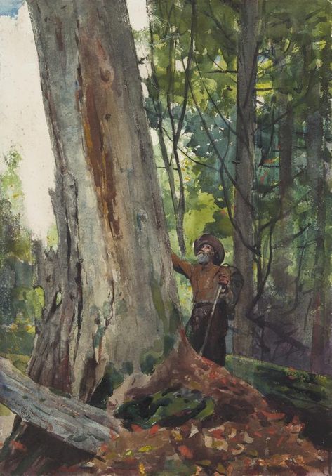 Winslow Homer’s ‘Old Friends’ (1894) Winslow Homer Paintings, Winslow Homer, Oil Painting Reproductions, Painting Reproductions, Famous Artists, Worcester, Tree Art, Tree Painting, Watercolor Landscape