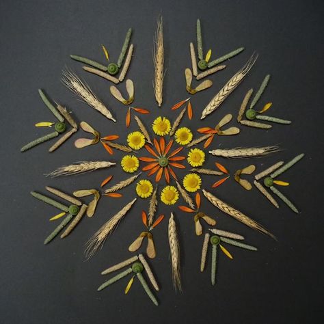 Emma Tuzzio on Instagram: "🌾 Lammas Celebration Mandala 🌾 Happy Lammas (aka Lughnasadh) today 1st August. This is a sweet lesser known earth festival celebrated by our ancient ancestors as the first Harvest, a time of revelry, joy, generosity and gratitude. A time to give thanks for the bountiful gifts & generosity of nature as the trees are bursting with fruits & berries, and nuts are slowly forming. Can we recognise the mirror nature provides to reflect upon our own personal harvests, the bl Happy Lammas, Wicca Sabbats, Lammas Altar, Lammas Celebration, Fall Mandala, Nature Mandala, Grass Art, 1st August, Straw Weaving