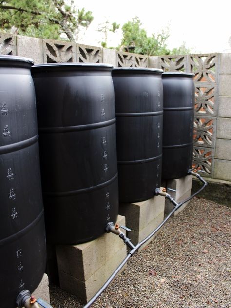 Learn how to create a rain barrel system with multiple barrels to start collecting rainwater for your garden. These 12 steps are everything you need to set up your own DIY rain barrel system. The steps are simple, and you can customize the number of barrels as needed for your garden. #rainbarrels #gardening Water Barrel Diy, Diy Irrigation, Rain Catchment System, Rain Collection System, Rain Water Barrel, Water Cistern, Diy Rain Barrel, Collecting Rainwater, Rain Water Collection Diy