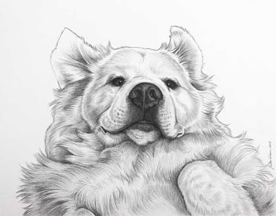 Artist In Milton Ontario - A Drawing a Day! Great Pyrenees Tattoo, Pyrenees Puppies, Great Pyrenees Puppy, Milton Ontario, Puppy Portraits, What To Draw, Unusual Art, Great Pyrenees, Pencil Art Drawings