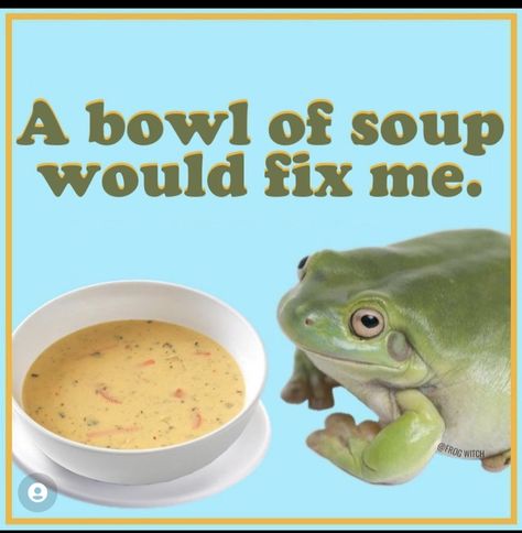 A bowl of soup would fix me - soup meme Soup Memes Funny, Pisces Szn, Primordial Soup, Wisdom Meme, Food Meme, Hungry Funny, Food Memes, Big Board, Cool Pixel Art