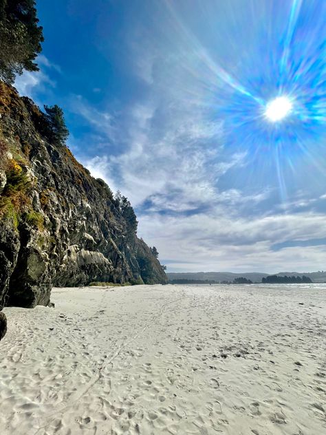 Doctors Point | Dunedin | Ocean Dunedin New Zealand, Beach Vibes, Beach Vibe, Dream Destinations, Summer Beach, The Good Place, New Zealand, Collage, Water