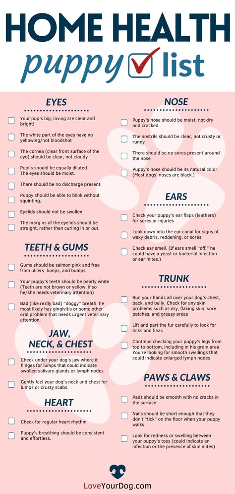 Dog Care Checklist, Health Checklist, Puppy Training Schedule, Puppy Checklist, Socializing Dogs, Dog Wellness, Dog Advice, Puppy Mom, Dog Health Tips