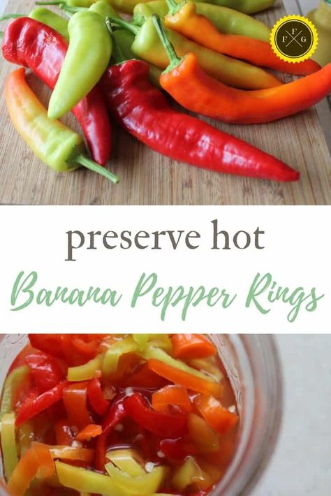 Preserve Hot Banana Peppers with Fermentation ~Family Food Garden Canning Jalapenos, Preserve Peppers, Peppers Pickled, Canning Hot Peppers, Canning Banana Peppers, Hot Banana, Banana Pepper Rings, Recipes With Banana Peppers, Canning Peppers