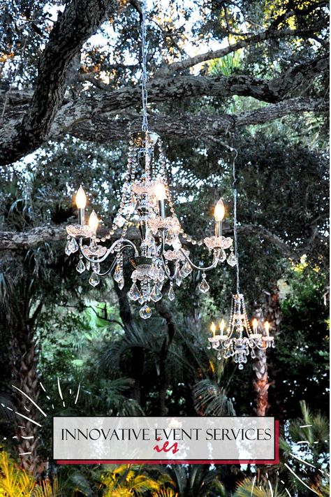 Chandeliers In Trees Wedding, Chandelier Hanging From Tree, Chandeliers In Trees, Outdoor Chandelier Wedding, Wedding Pergola, Chandelier Tree, Farmhouse Wedding Decor, Fairy Lights In Trees, How To Make A Chandelier