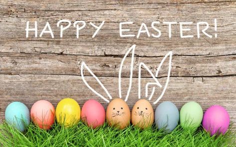 vegan easter recipes Easter Sunday Images, Happy Easter Quotes, Happy Easter Sunday, Grass Backdrops, Vegan Easter, Easter Backdrops, Easter Images, Easter Pictures, Flamingo Party