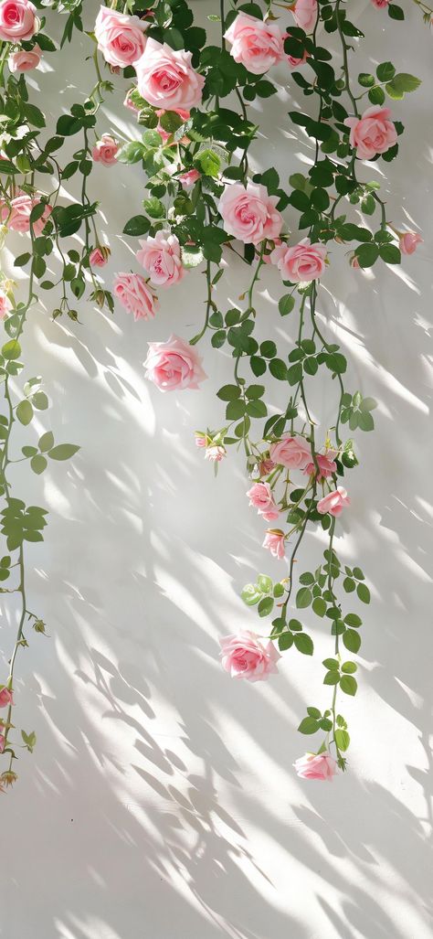 Pink And White Roses Wallpaper, Pretty Iphone Wallpaper Aesthetic, Floral Wallpaper Iphone Aesthetic, Summer Backgrounds Aesthetic, Pastel Flowers Wallpaper, Rose Garden Wallpaper, Pink Flower Wallpaper, Wall Pics, Vintage Flowers Wallpaper