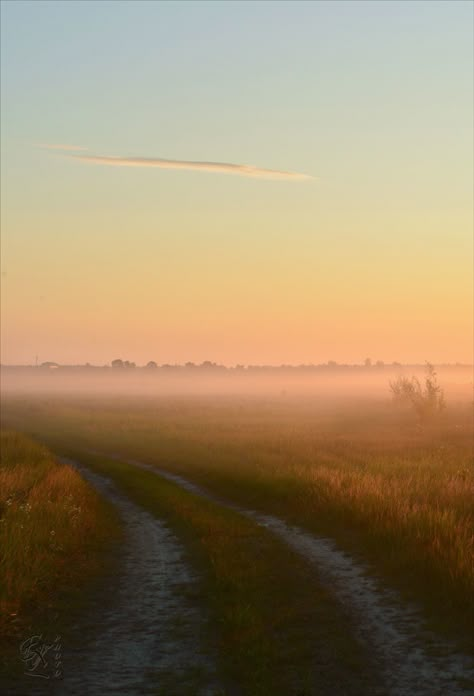 Emotional Landscape Photography, Field Photography Landscape, Grassy Field Aesthetic, Farmland Aesthetic, Open Field Aesthetic, Plain Field, Foggy Field, Dawn Aesthetic, Fall Field