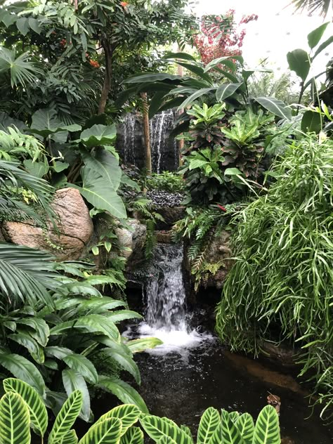 Artificial Waterfall Landscape, Jungle Pond, Rainforest Garden, Tropical Pond, Kolam Koi, Tropical Greenhouses, Taman Air, Tropical Landscape Design, Diy Pond