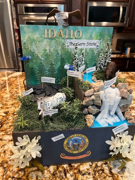 State Float Project, Nevada Day, State Project, Learning States, Eagle Idaho, America Theme, Craters Of The Moon, Study Project, Idaho State