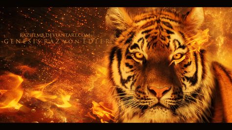 Heart of Fire by RazielMB on deviantART Heart Of Fire, Desktop Wallpaper Hd 1080p, 3d Desktop Wallpaper, 1080p Wallpaper, High Resolution Wallpapers, Tiger Art, Fire Heart, Leopards, Full Hd