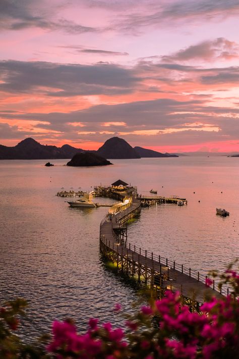 Labuan Bajo, Labuan, Best Sunset, Meditation, Instagram Photos, Photo And Video, Instagram Photo, Photographer, Instagram