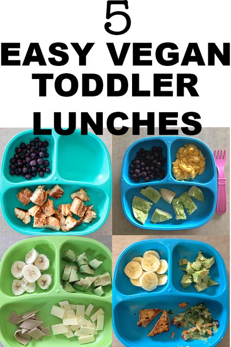 Here are 5 easy vegan toddler lunch ideas. They are so simple. Your one year old will love them. These recipes are simple and easy to make. These easy vegan toddler lunches are healthy and completely plant-based. All of these vegan recipes are simple and family friendly. Even picky eaters will eat more. #vegan #vegantoddlers #vegankids #plantbasedtoddlers #healthy #toddlerlunches Vegan Toddler Lunch, Lunches For Toddlers, Vegetarian Toddler Meals, Easy Vegan Lunches, Toddler Lunch Ideas, Vegan Turkey, Baby Lunch, Toddler Foods, Toddler Lunch