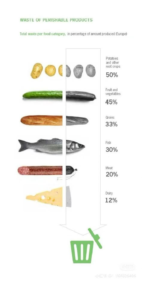 Food Infographic Illustration, Food Waste Illustration, Food Waste Infographic, Food Infographic Design, Waste Infographic, Waste Illustration, Food Waste Campaign, Infographic Food, Product Infographic