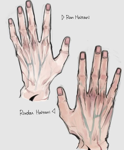 Hand Drawing Reference, Anatomy Sketches, Body Reference Drawing, 캐릭터 드로잉, Anatomy Drawing, Digital Painting Tutorials, Figure Drawing Reference, Anatomy Reference, Anatomy Art