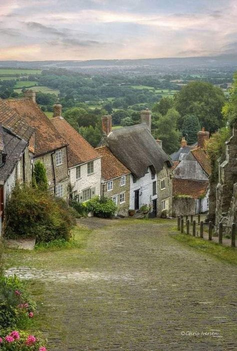 Gold Hill Shaftesbury, Get Paid To Travel, Gold Hill, Kentish Town, Paid To Travel, Dorset England, English Cottages, English Village, British Countryside