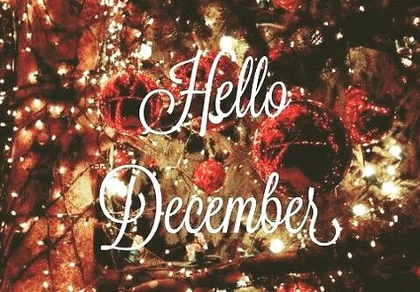 Hello December. Where everything is merry 🎄 & bright ❄. #hellodecember #bemerry #bright #christmastree #christmas #decorations #singing #beauty #livelaughlove #family #festive Welcome December Quotes, Hallo November, Hello December Quotes, Hello December Images, December Images, December Pictures, Welcome December, December Quotes, December Wallpaper